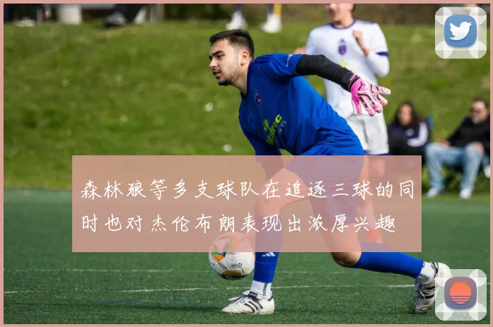 森林狼等多支球队在追逐三球的同时也对杰伦布朗表现出浓厚兴趣